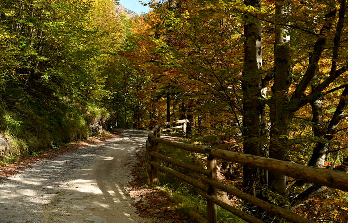 Valle di San Lucano a Taibon Agordino, Col di Pra Cascata di Pont Pale di San Lucano Agner