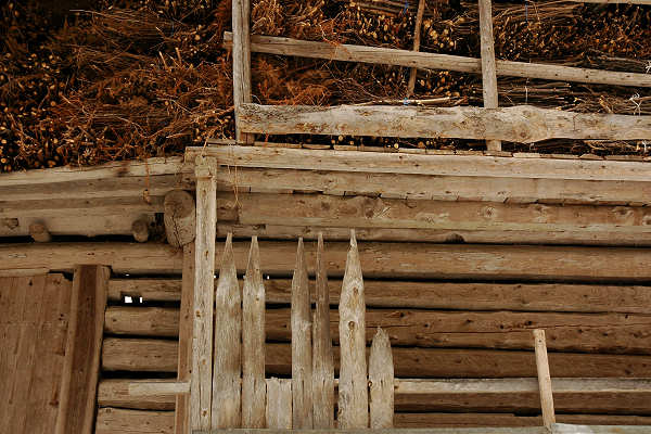 Vallada Agordina, Cogul Piaz