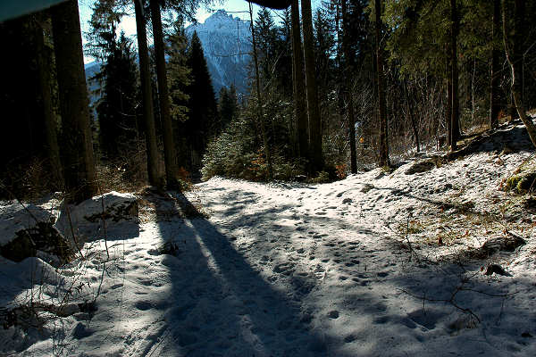 Vallada Agordina, Cogul Piaz