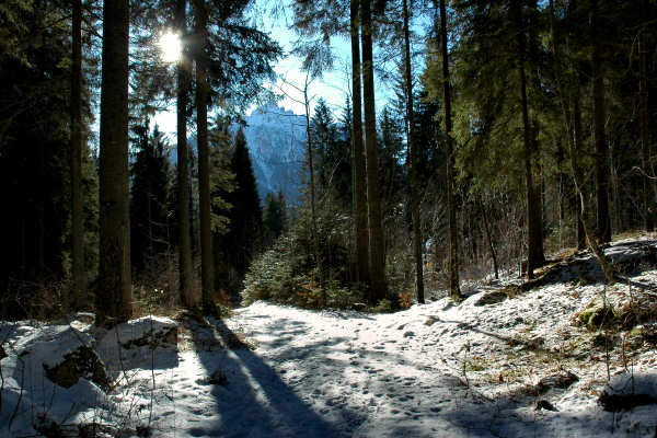 Vallada Agordina, Cogul Piaz