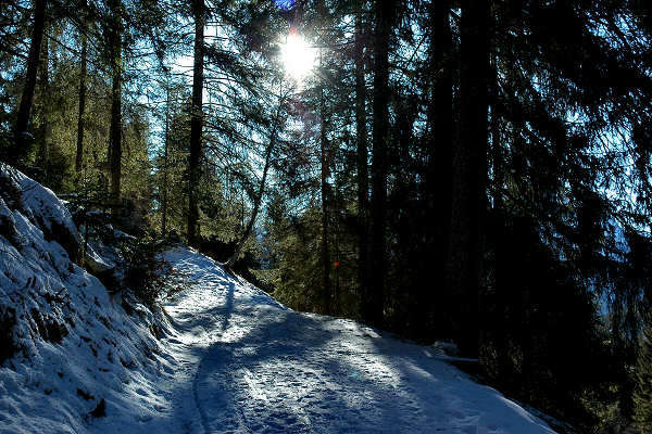 Vallada Agordina, Cogul Piaz