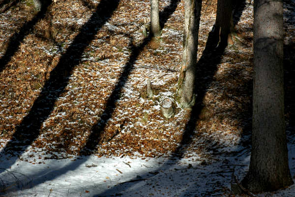 Vallada Agordina, Cogul Piaz