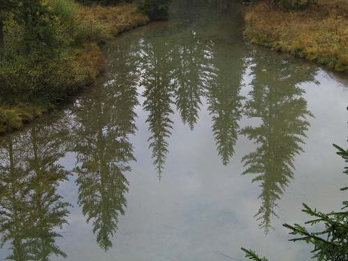 Biotopo Lago di Gares - Canale d'Agordo - Belluno