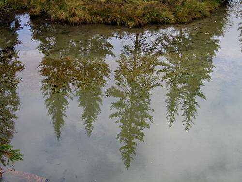 Biotopo Lago di Gares - Canale d'Agordo - Belluno