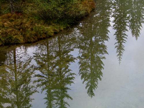 Biotopo Lago di Gares - Canale d'Agordo - Belluno