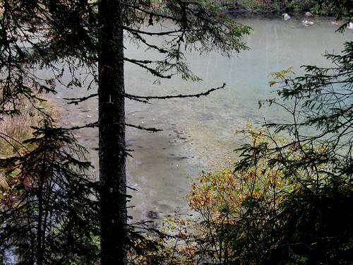 Biotopo Lago di Gares - Canale d'Agordo - Belluno