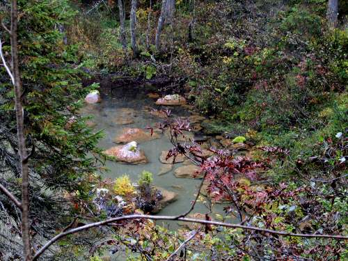 Biotopo Lago di Gares - Canale d'Agordo - Belluno