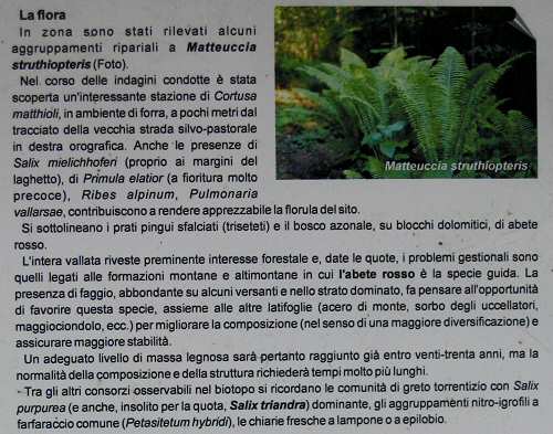 Biotopo Lago di Gares - Canale d'Agordo - Belluno