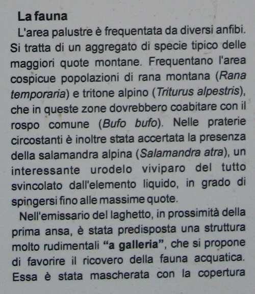 Biotopo Lago di Gares - Canale d'Agordo - Belluno