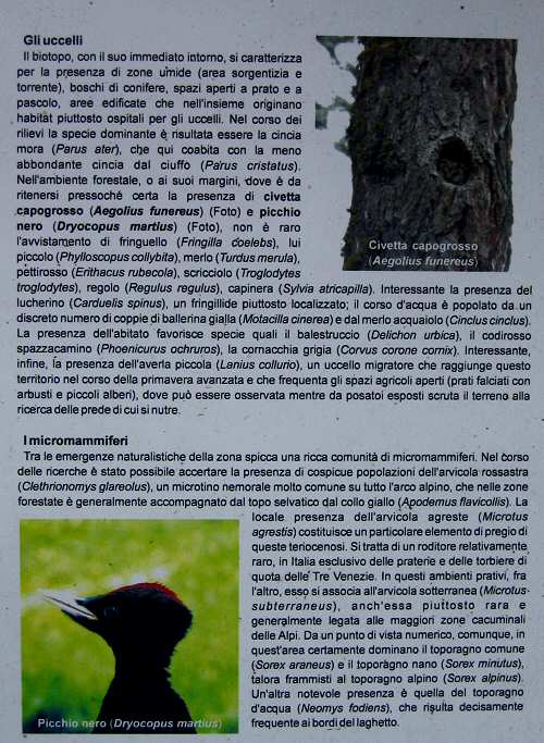 Biotopo Lago di Gares - Canale d'Agordo - Belluno