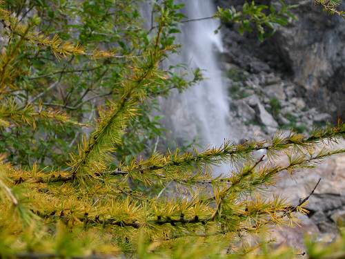Cascata Comelle - Gares di Canale d'Agordo