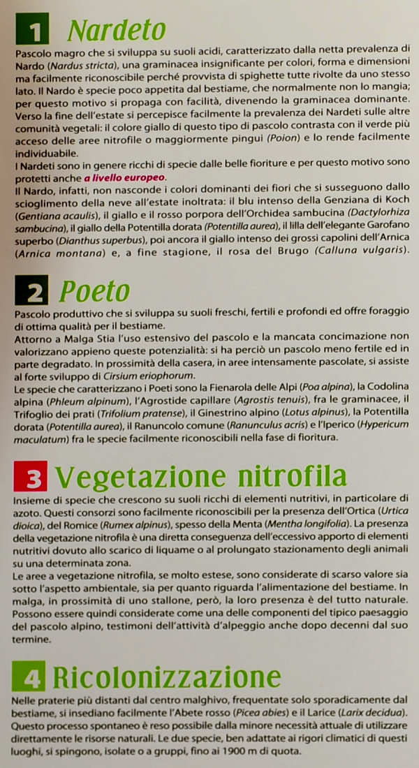 i pascoli di Malga Stia a Gares