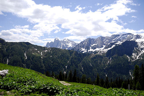 Malga Stia, Gares di Canale d'Agordo - Pale di San Martino Dolomiti Bellunesi