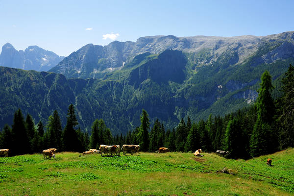 Gares agriturismo Malga Stia a Canale d'Agordo, Dolomiti Bellunesi Pale di San Martino valle di Gares