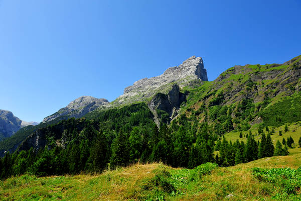 Gares agriturismo Malga Stia a Canale d'Agordo, Dolomiti Bellunesi Pale di San Martino valle di Gares