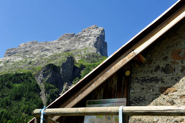 Gares agriturismo Malga Stia a Canale d'Agordo, Dolomiti Bellunesi Pale di San Martino valle di Gares