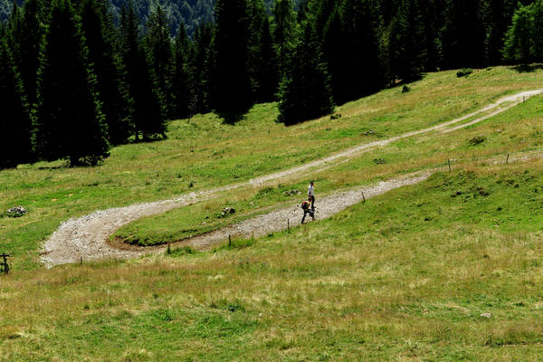 Gares agriturismo Malga Stia a Canale d'Agordo, Dolomiti Bellunesi Pale di San Martino valle di Gares