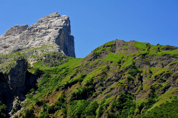 Gares agriturismo Malga Stia a Canale d'Agordo, Dolomiti Bellunesi Pale di San Martino valle di Gares
