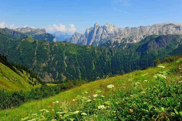 Gares agriturismo Malga Stia a Canale d'Agordo, Dolomiti Bellunesi Pale di San Martino valle di Gares
