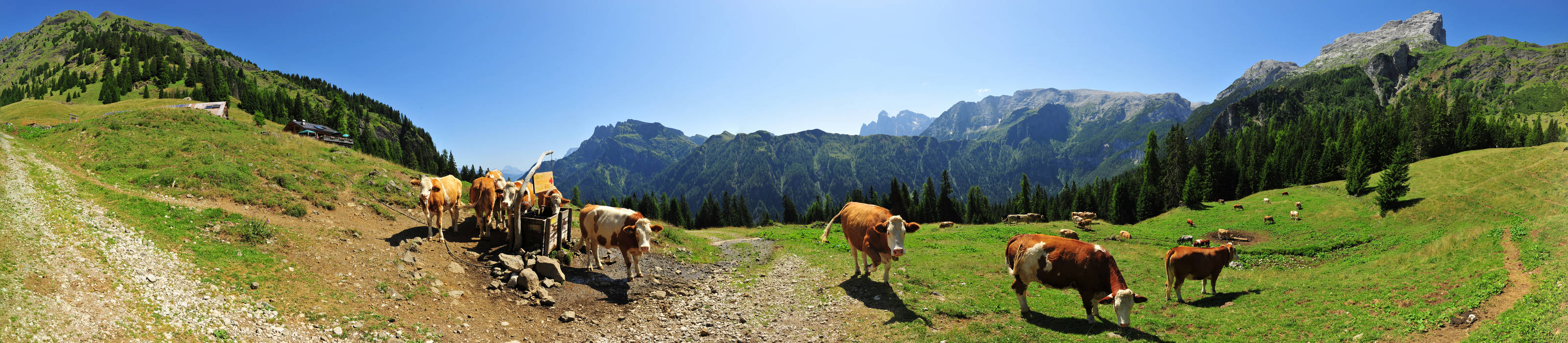 malga Stia in Val di Gares, Canale d'Agordo, Pale di San Martino