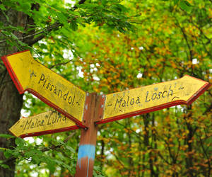 sentieri per il Rifugio Scarpa all'Agner a Frassené Agordino