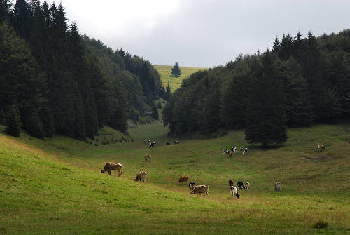 Gallio, Valbella Sisemol c.ra Stenfle val Melago