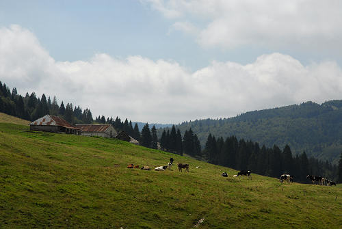 Gallio, Valbella Sisemol c.ra Stenfle val Melago