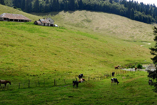 Gallio, Valbella Sisemol c.ra Stenfle val Melago