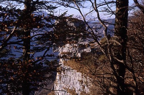 Altar Knotto Rotzo - Altopiano Asiago 7 Comuni