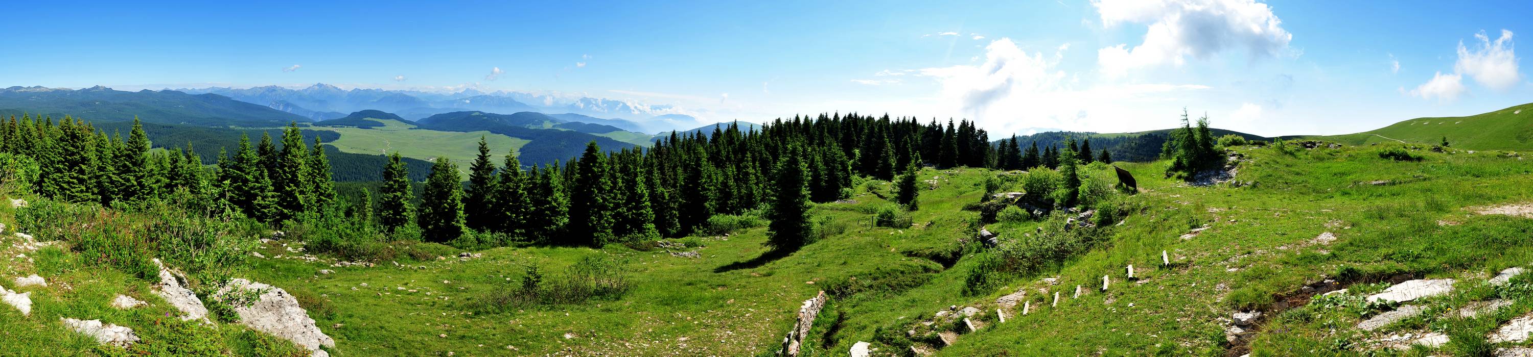 Monte Fior Melette di Foza, Altopiano Asiago Sette Comuni