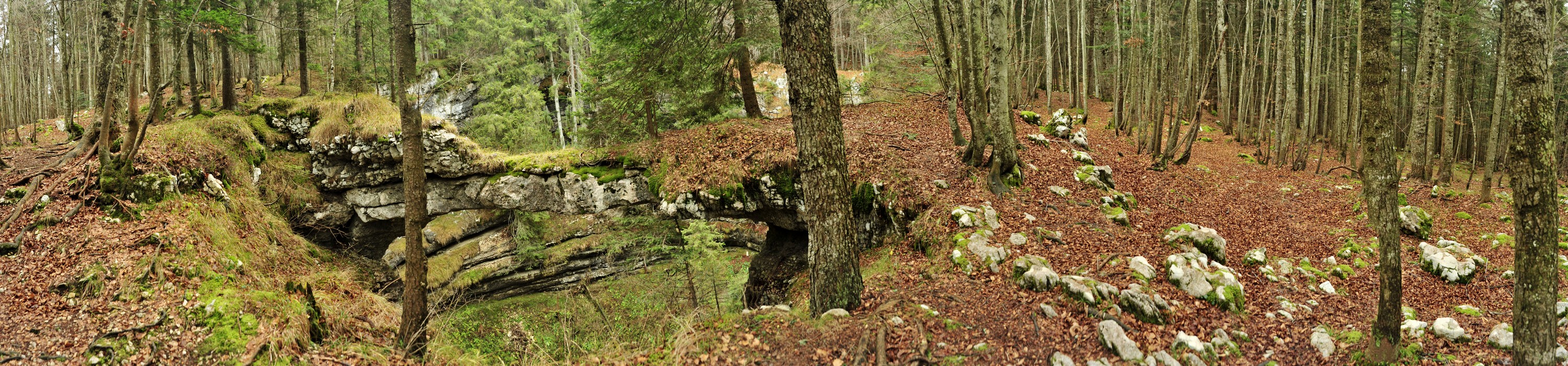 Stonhaus Loch (Roana, altipiano di Asiago)