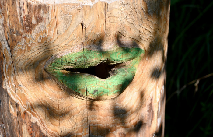 SelvArt, Sentiero Arte Natura a Mezzaselva di Roana, monte Erio