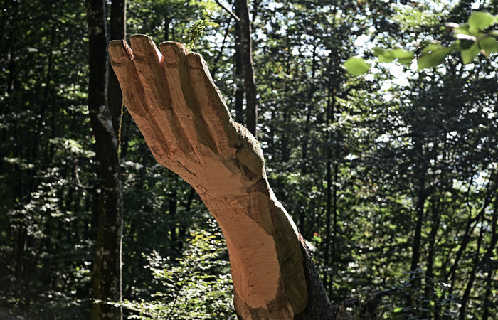 SelvArt, Sentiero Arte Natura a Mezzaselva di Roana, monte Erio