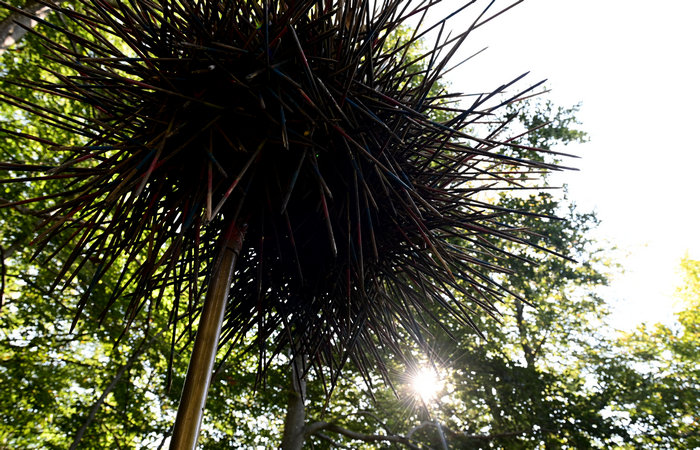 SelvArt, Sentiero Arte Natura a Mezzaselva di Roana, monte Erio