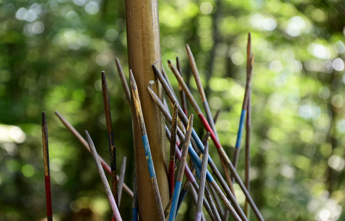 SelvArt, Sentiero Arte Natura a Mezzaselva di Roana, monte Erio
