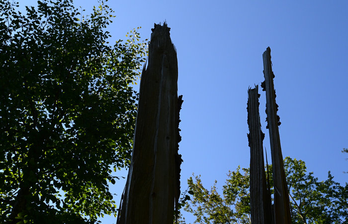 SelvArt, Sentiero Arte Natura a Mezzaselva di Roana, monte Erio