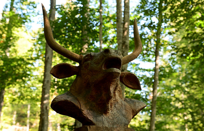 SelvArt, Sentiero Arte Natura a Mezzaselva di Roana, monte Erio