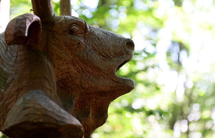 SelvArt, Sentiero Arte Natura a Mezzaselva di Roana, monte Erio