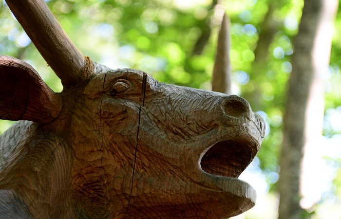 SelvArt, Sentiero Arte Natura a Mezzaselva di Roana, monte Erio