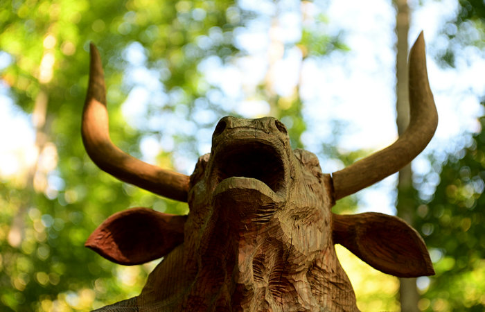 SelvArt, Sentiero Arte Natura a Mezzaselva di Roana, monte Erio