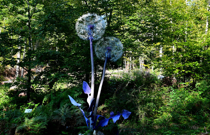 SelvArt, Sentiero Arte Natura a Mezzaselva di Roana, monte Erio