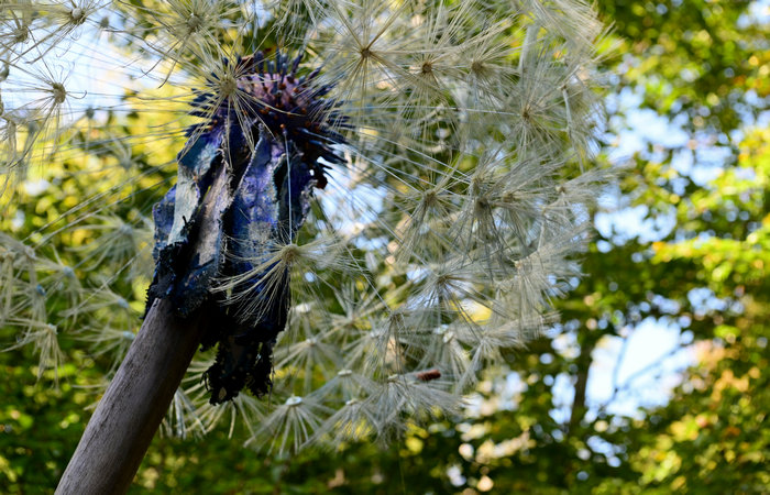 SelvArt, Sentiero Arte Natura a Mezzaselva di Roana, monte Erio