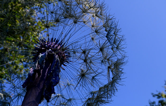 SelvArt, Sentiero Arte Natura a Mezzaselva di Roana, monte Erio