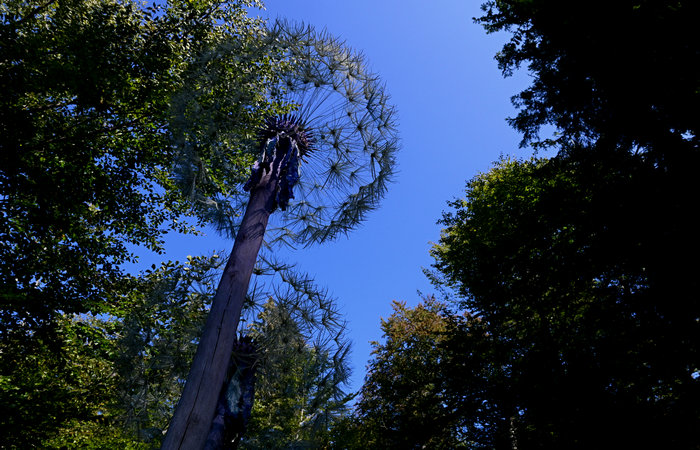 SelvArt, Sentiero Arte Natura a Mezzaselva di Roana, monte Erio