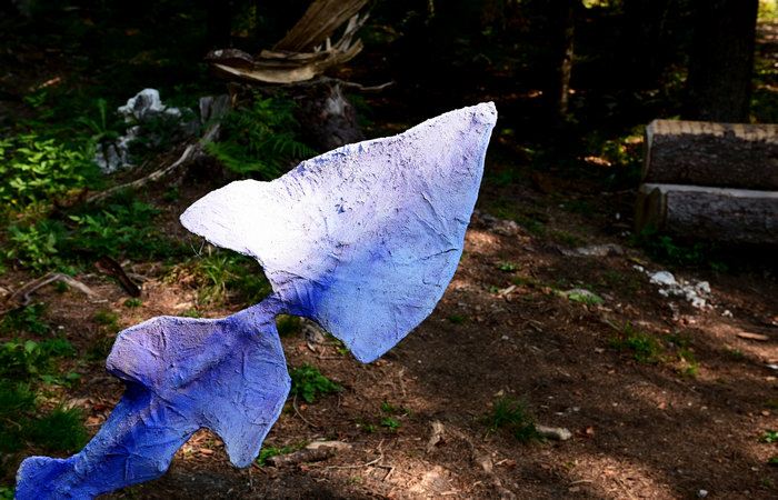 SelvArt, Sentiero Arte Natura a Mezzaselva di Roana, monte Erio