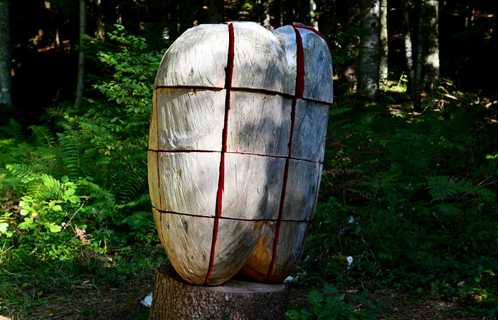 SelvArt, Sentiero Arte Natura a Mezzaselva di Roana, monte Erio