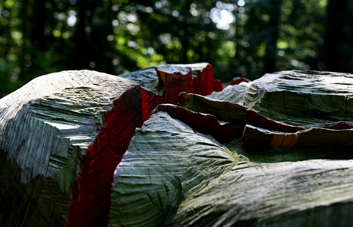 SelvArt, Sentiero Arte Natura a Mezzaselva di Roana, monte Erio