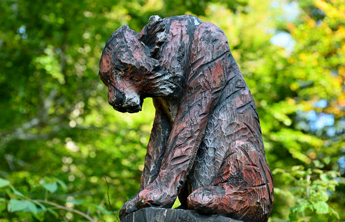 SelvArt, Sentiero Arte Natura a Mezzaselva di Roana, monte Erio