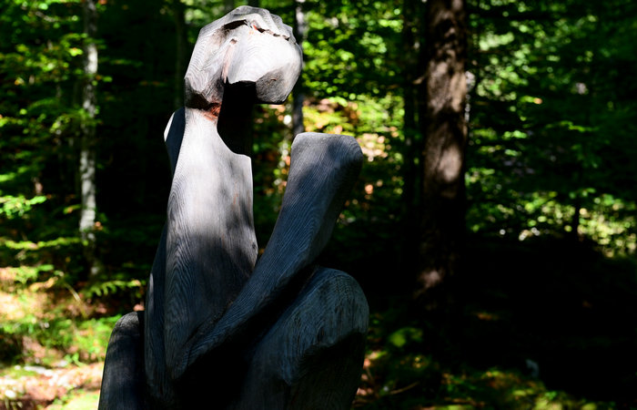 SelvArt, Sentiero Arte Natura a Mezzaselva di Roana, monte Erio