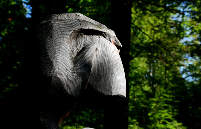 SelvArt, Sentiero Arte Natura a Mezzaselva di Roana, monte Erio